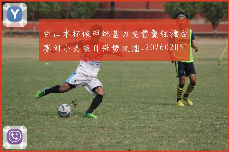 白山水杯依田纪基力克曹薰铉擂台赛刘小光明日强势攻擂_20260205134027