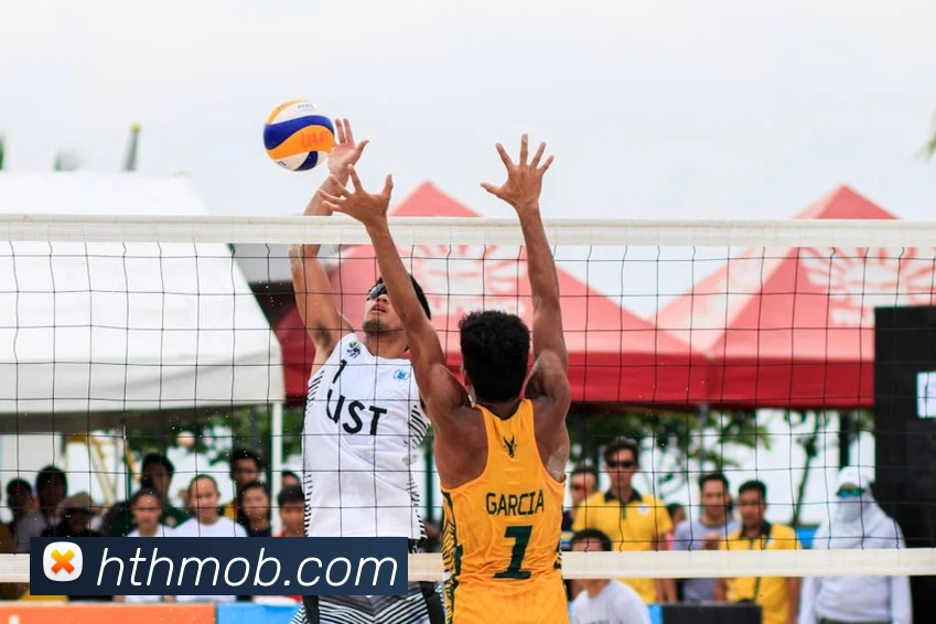 华体会体育品牌故事