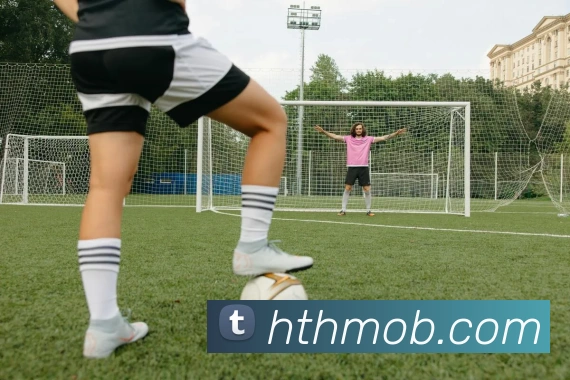 华体会体育服务体系